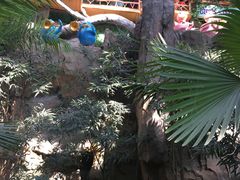 -南宫五洲植物乐园