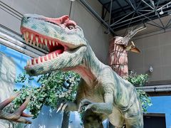 -国家自然博物馆