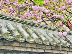 -西安青龙寺遗址景区