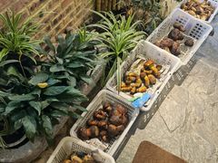 自助取餐区-大理董·董家小厨野生菌火锅(古城旗舰店)