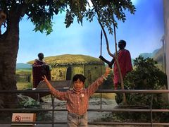 -国家自然博物馆