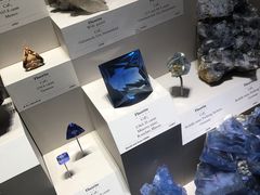 -美国自然历史博物馆