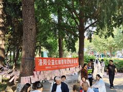 -西苑公园