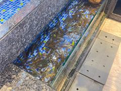 -乾隆美食·本帮菜(黄河路店)