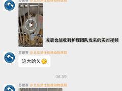 -北京派仕佳德动物医院·超导核磁·CT·神经科·骨科·内外科·急重症管理中心