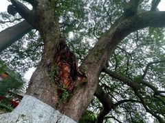 -新安江山水画廊风景区