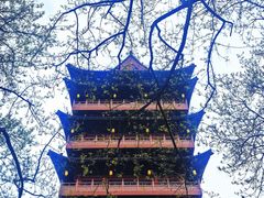 -包公祠