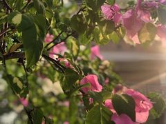 -龙潭生态旅游度假区