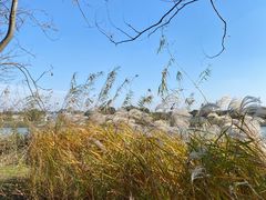 -梁鸿国家湿地公园