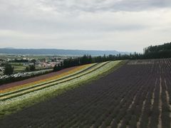 -富田农场
