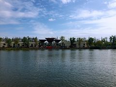 -上海长兴岛郊野公园