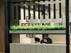 -魏家凉皮(协和店)