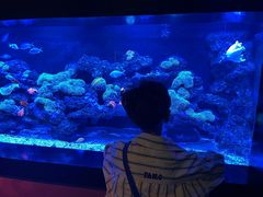 -暹罗海洋世界