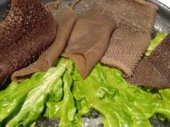 毛肚-呷哺呷哺 黄金牧场 (新中关购物中心店)
