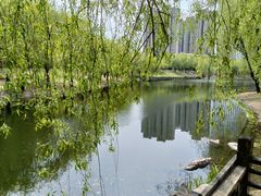 -长春公园(普阳街道)