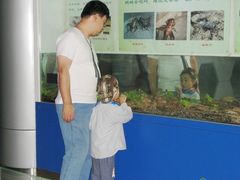 -上海昆虫博物馆