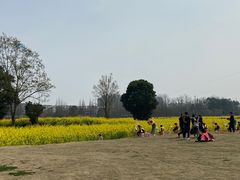 -蜀绣公园