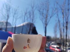 -哈尔滨大剧院