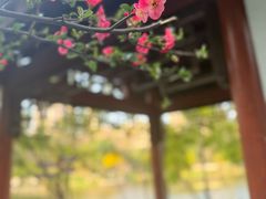 -重庆彩云湖湿地公园