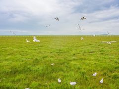 -花湖生态旅游区