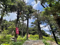 -朱雀国家森林公园
