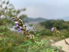 -黄河小浪底水利枢纽风景区