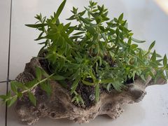 -一滴墨照相馆·证件照·形象照·领证跟拍(民耀路店)