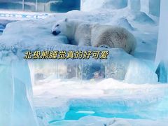 -珠海长隆海洋王国