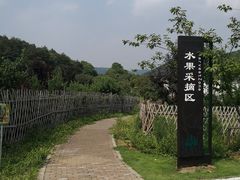 -龙寺生态园