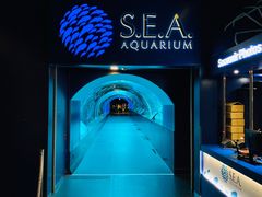 -新加坡海洋生态馆