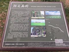 -特克斯八卦城