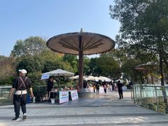 -铁山坪森林公园