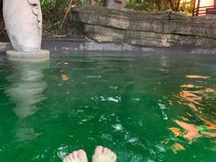 -杭州第一世界大酒店·云曼温泉