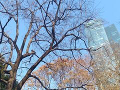 -静安公园(静安寺街道)