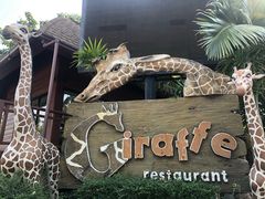 景点-清迈夜间动物园