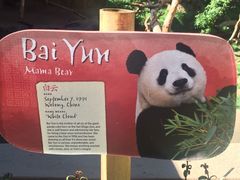 -圣地亚哥动物园