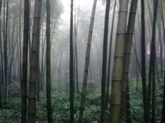 -竹野·上|老字号全竹宴