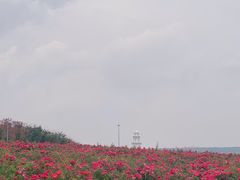 -南京枫彩漫城