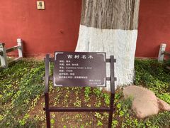 -武侯墓风景区