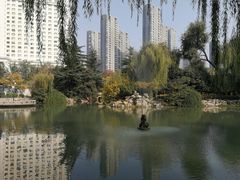 -西苑公园