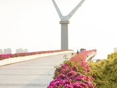 -厦门园林博览苑