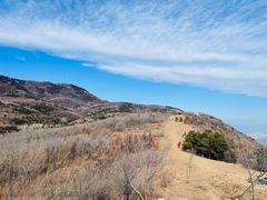 -阳台山自然风景区