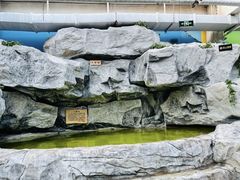 -爱江山温泉(凌奥店)