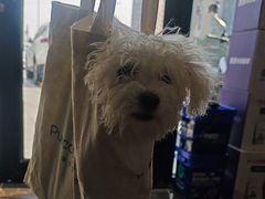 -宠爱国际动物医院·疑难骨科·心肾内科·皮肤科(太阳宫店)