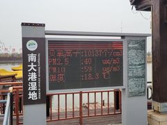 -南大港湿地风景区