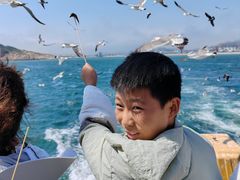 -海驴岛(荣成市)