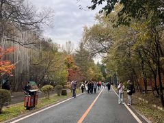 -吉林市朱雀山国家森林公园