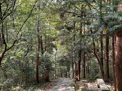 -敬亭山风景名胜区