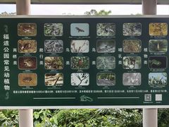 -福道