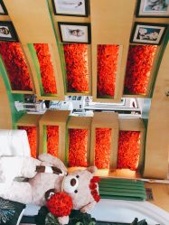 -艺米阳光Hair Salon